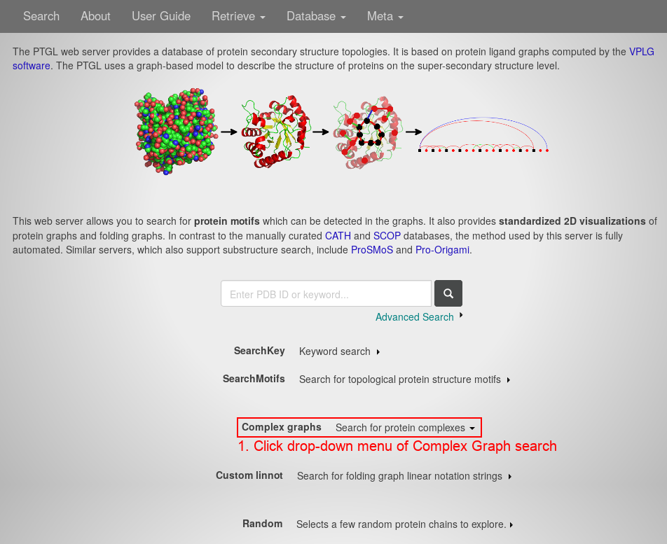 index.php webpage example