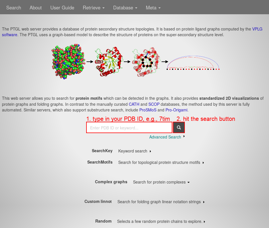 index.php webpage example