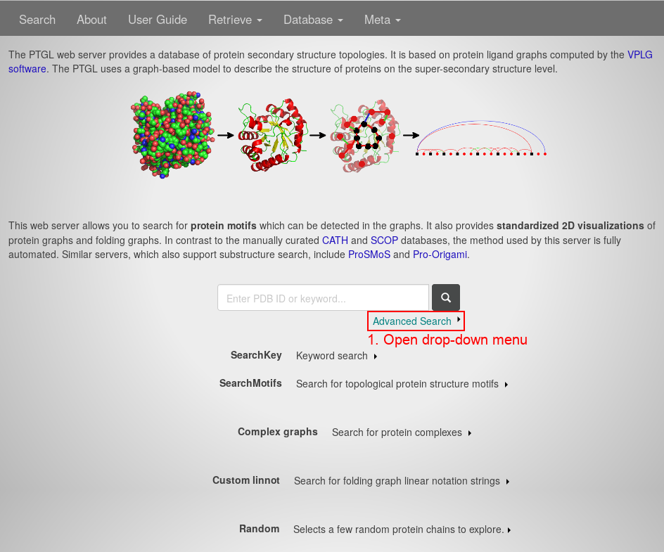 index.php webpage example