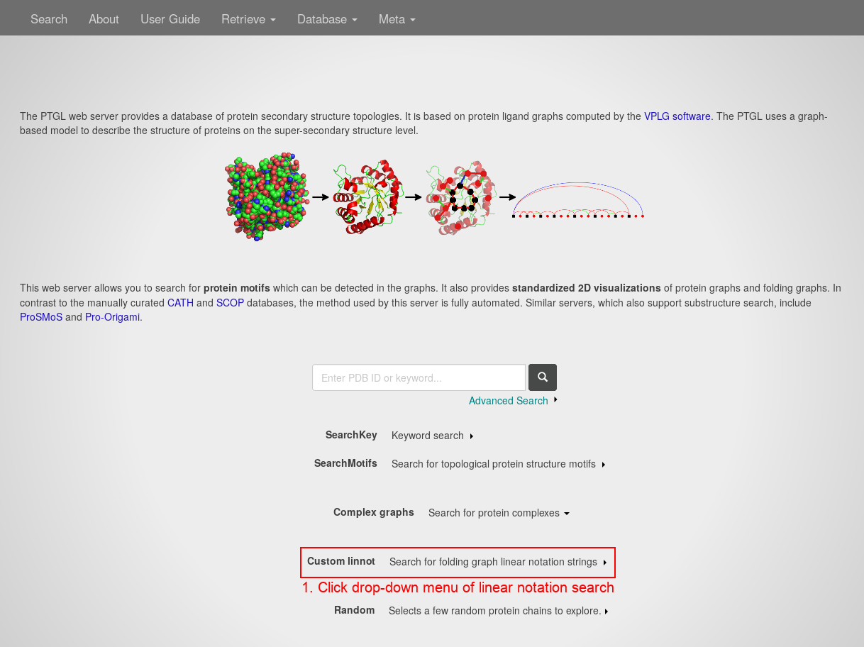 index.php webpage example