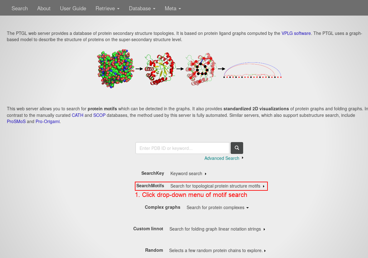 index.php webpage example