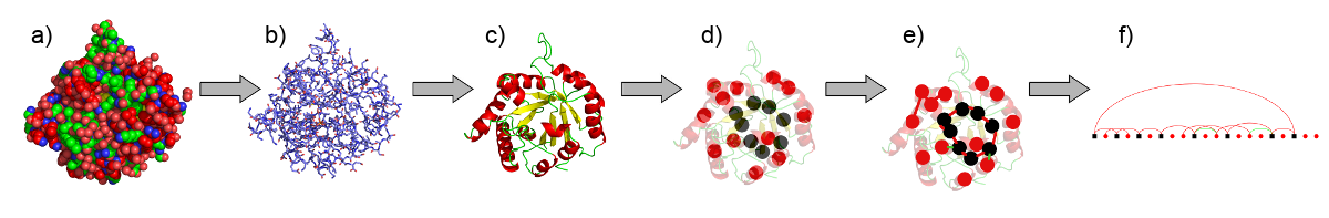 Protein Graph computation